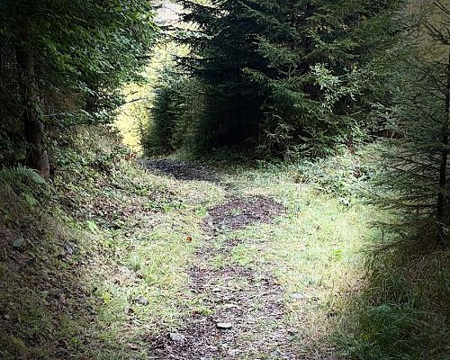 IMG 20260919 WA0021